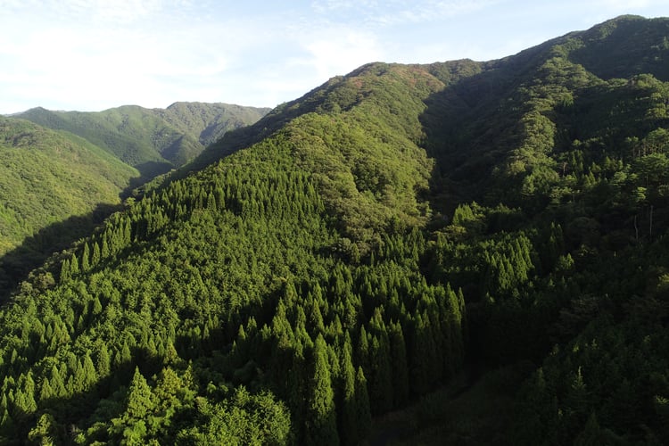 DJI_0468